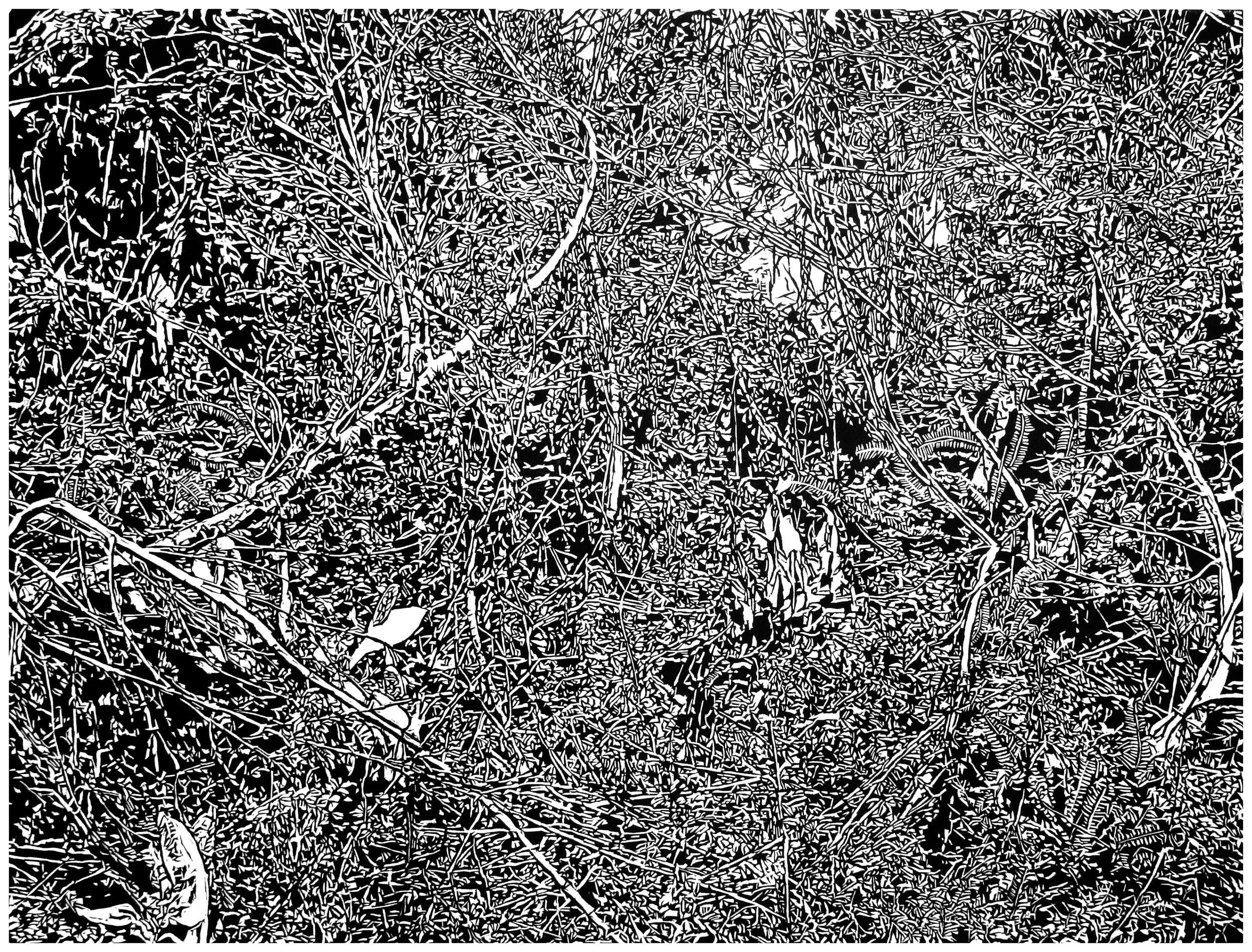 Underbrush 14, a black and white linoleum block
print of the forest undergrowth of Northwest Washington State by artist Nicholas Brown.