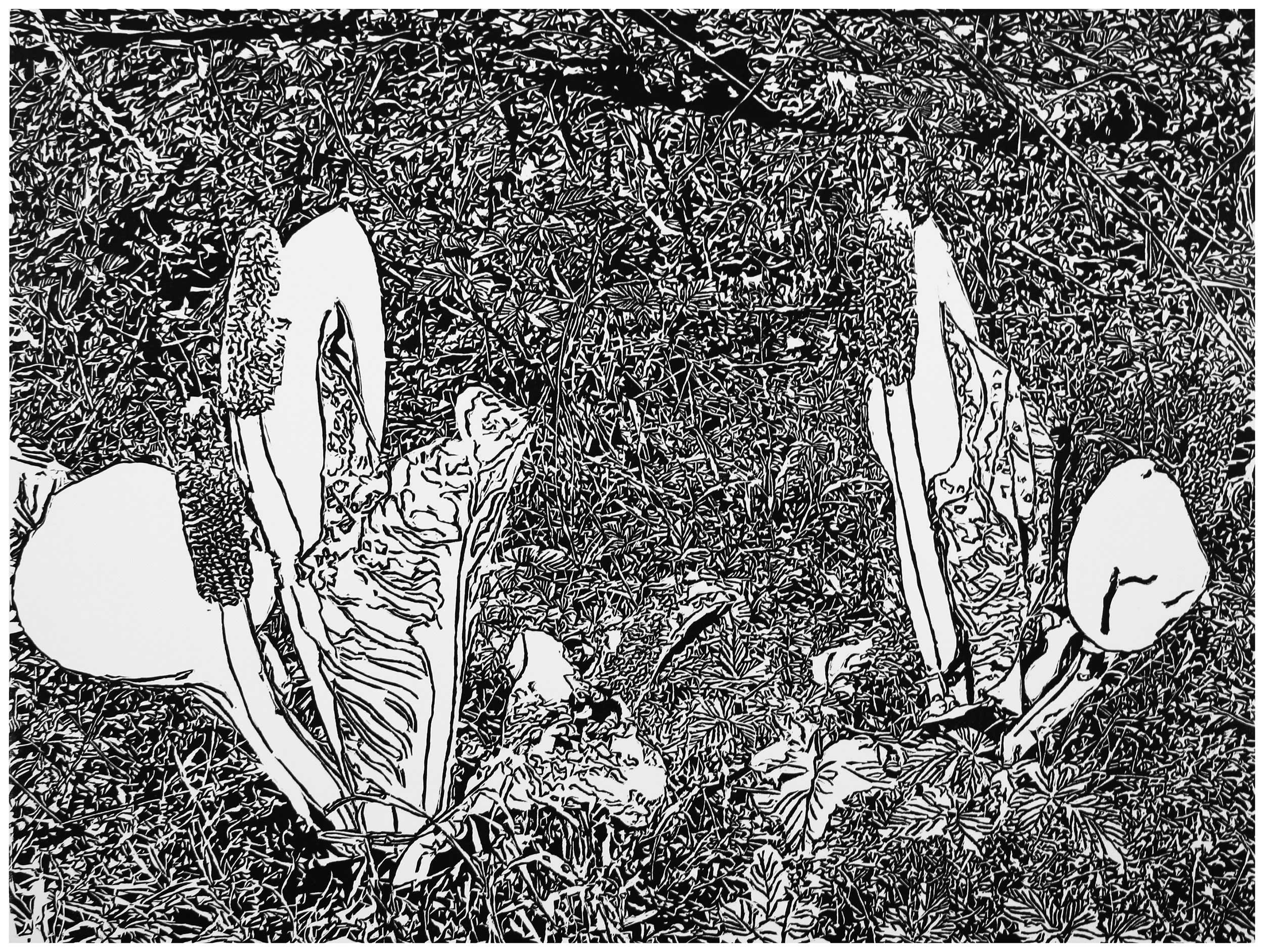 Underbrush 16, a black and white linoleum block
print of the forest undergrowth of Northwest Washington State by artist Nicholas Brown.