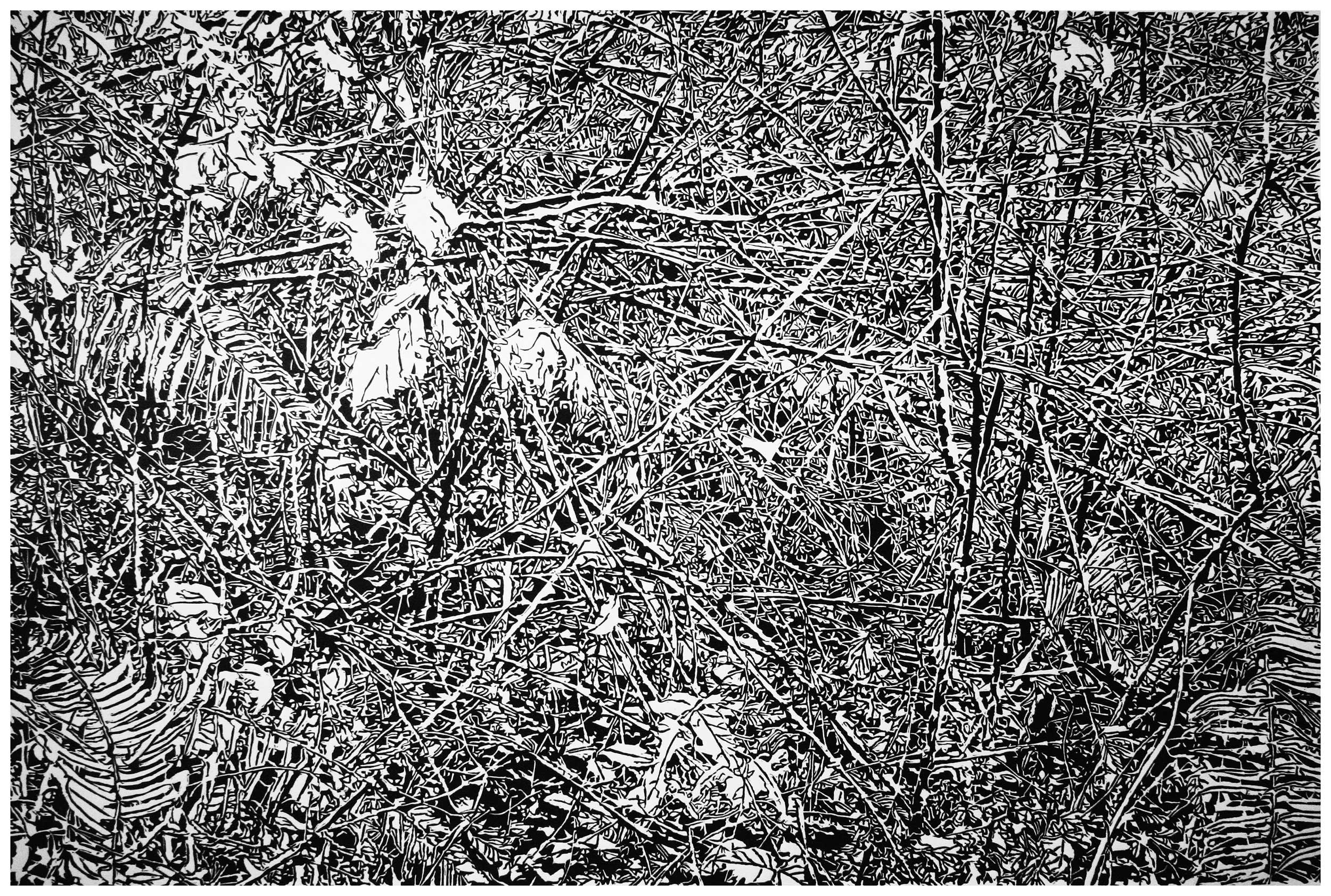 Underbrush 19, a black and white linoleum block
print of the forest undergrowth of Northwest Washington State by artist Nicholas Brown.