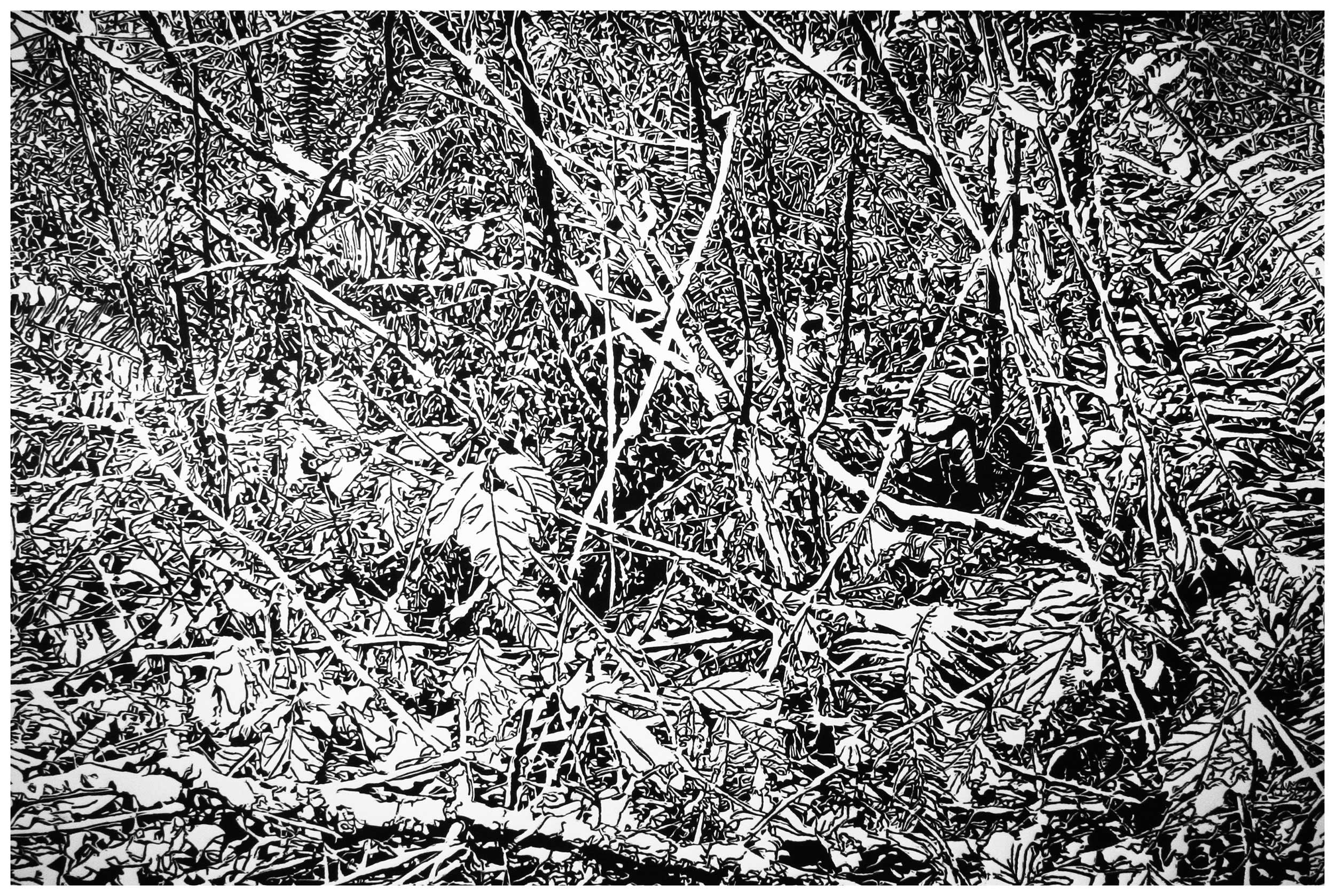 Underbrush 20, a black and white linoleum block
print of the forest undergrowth of Northwest Washington State by artist Nicholas Brown.