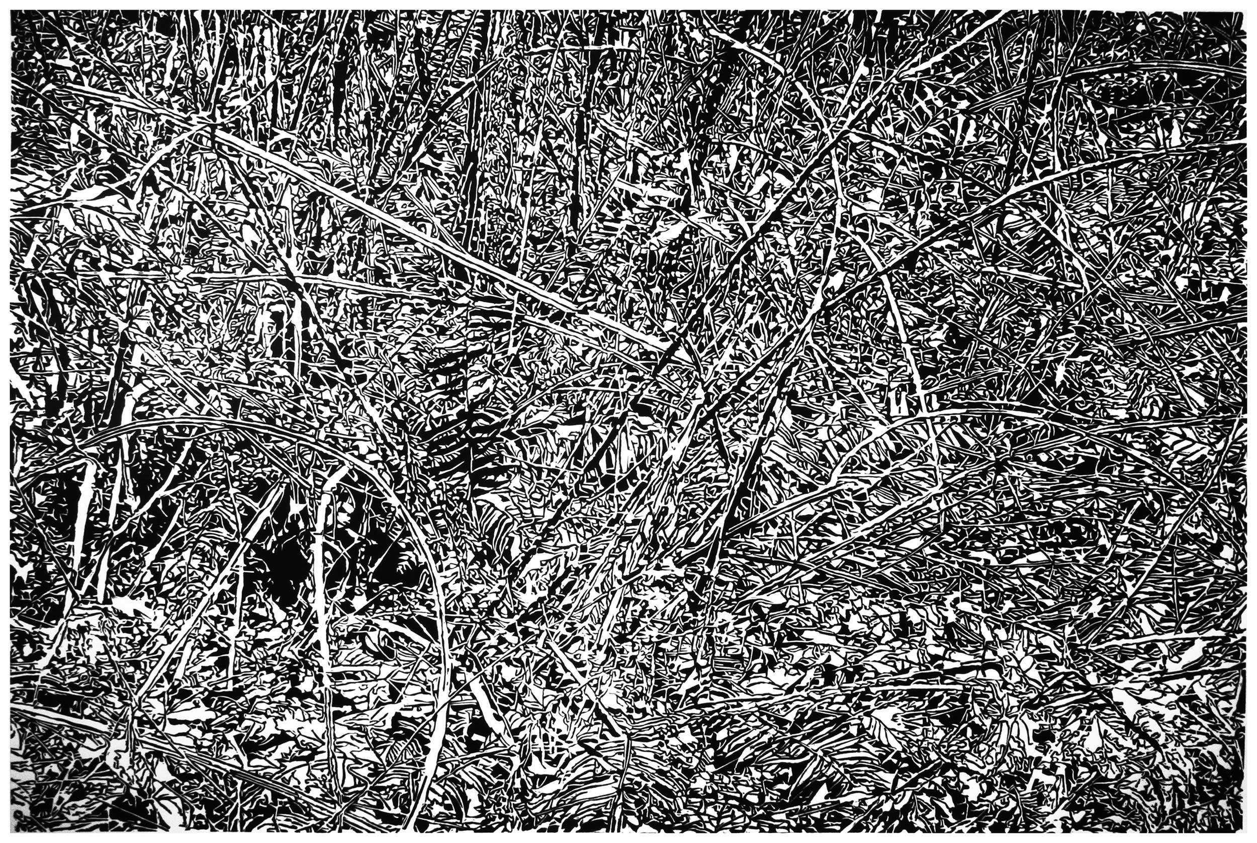 Underbrush 21, a black and white linoleum block
print of the forest undergrowth of Northwest Washington State by artist Nicholas Brown.