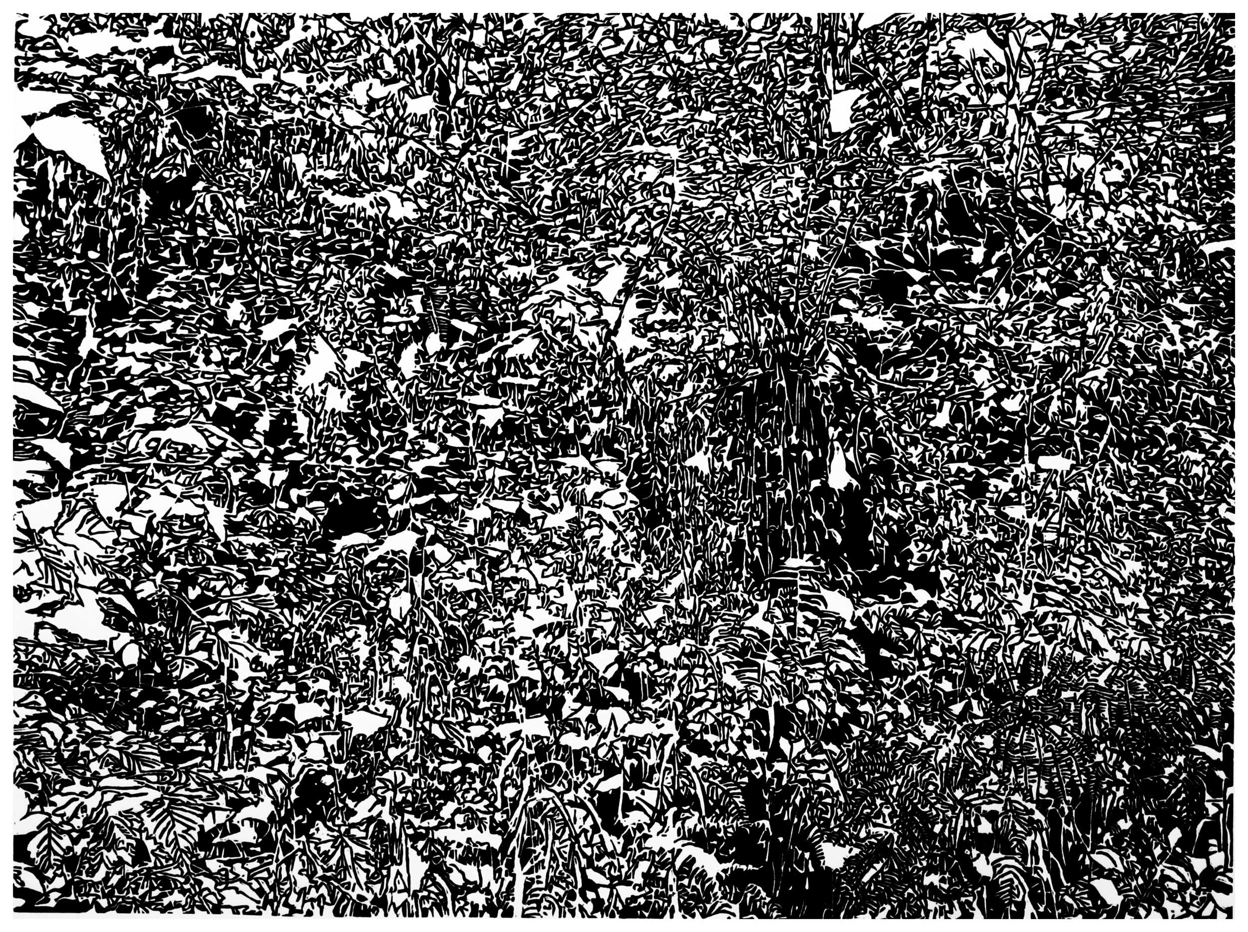 Underbrush 22, a black and white linoleum block
print of the forest undergrowth of Northwest Washington State by artist Nicholas Brown.
