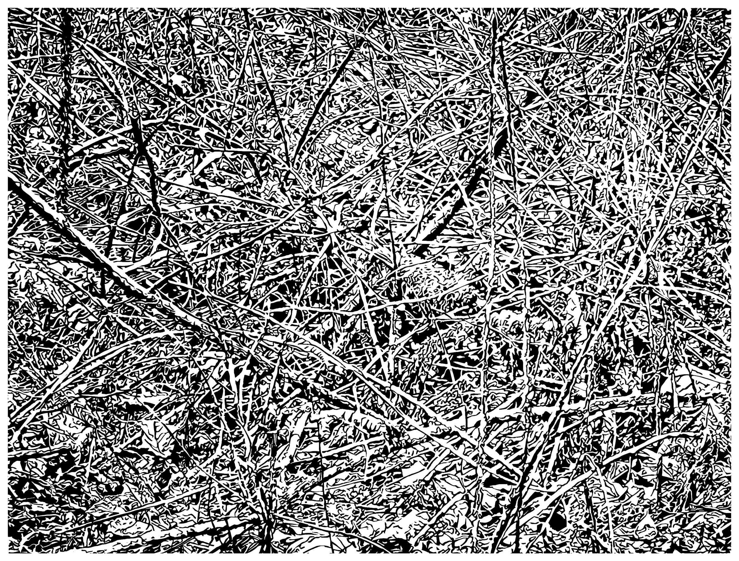 Underbrush 24, a black and white linoleum block
print of the forest undergrowth of Northwest Washington State by artist Nicholas Brown.