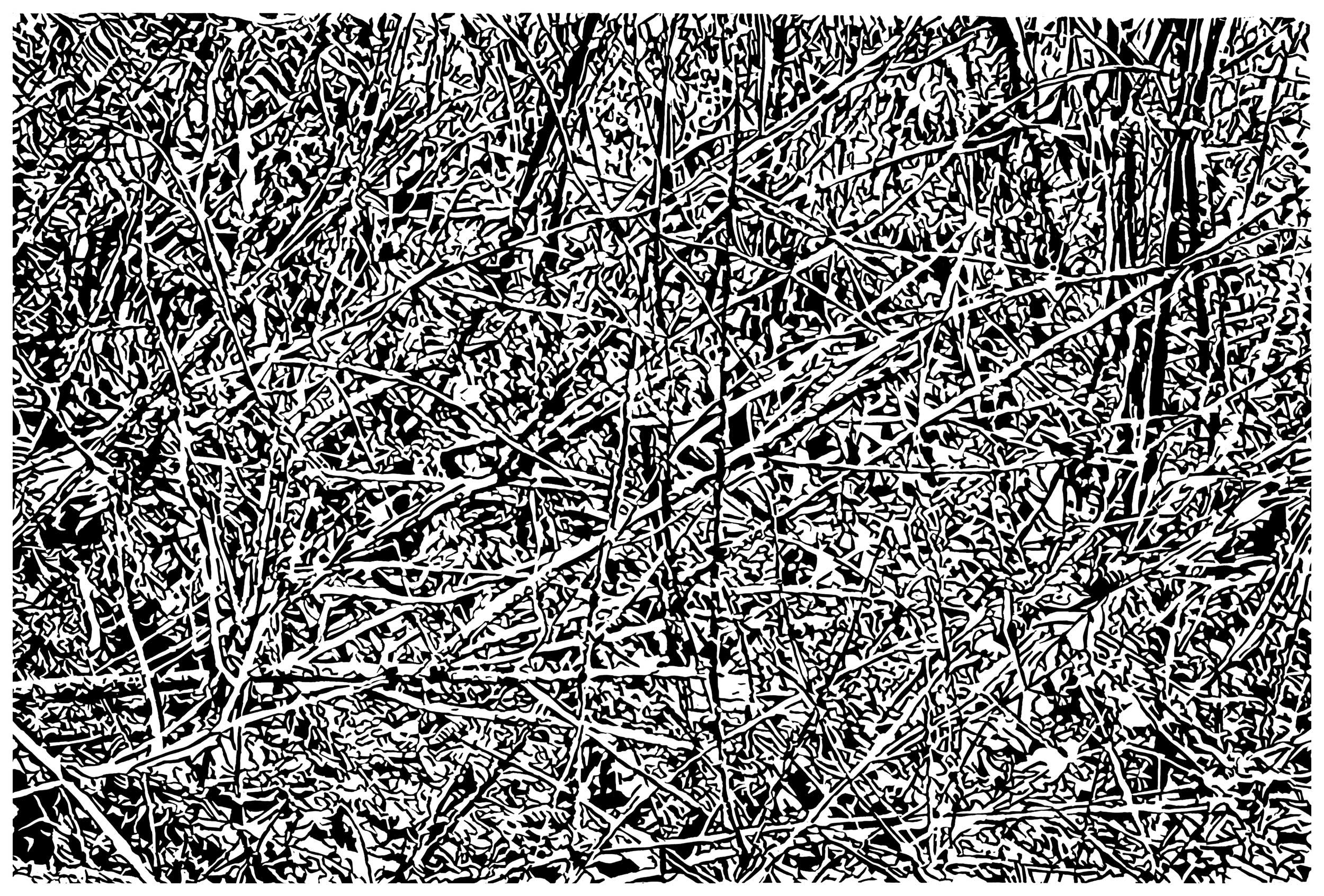 Underbrush 26, a black and white linoleum block
print of the forest undergrowth of Northwest Washington State by artist Nicholas Brown.