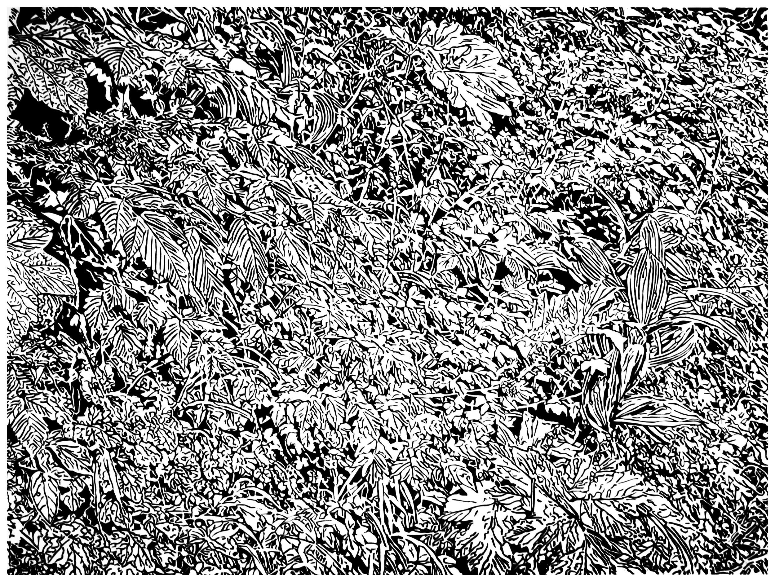 Underbrush 27, a black and white linoleum block
print of the forest undergrowth of Northwest Washington State by artist Nicholas Brown.