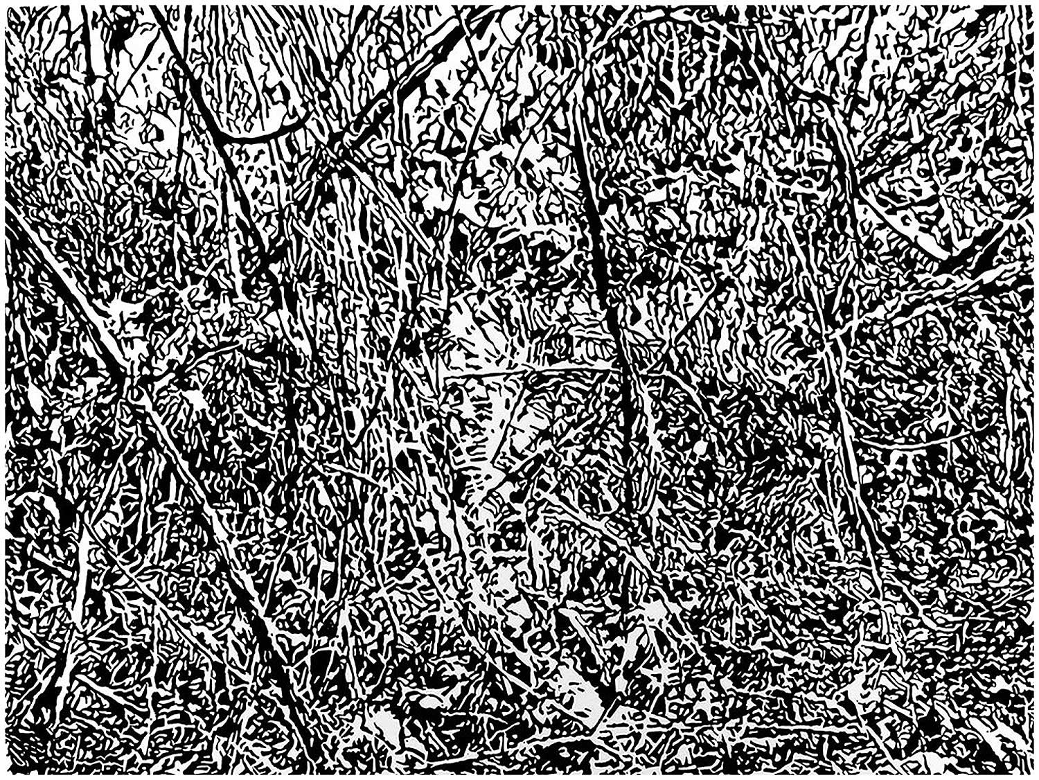 Underbrush 28, a black and white linoleum block
print of the forest undergrowth of Northwest Washington State by artist Nicholas Brown.