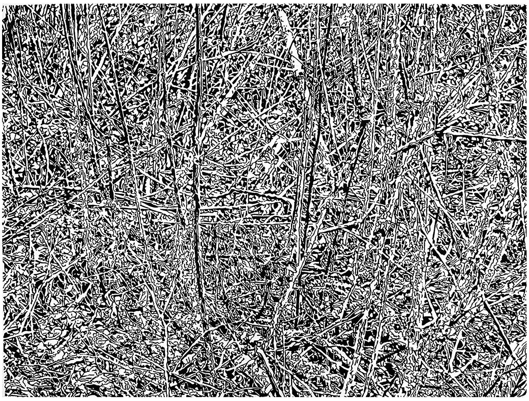 Underbrush 29, a black and white linoleum block
print of the forest undergrowth of Northwest Washington State by artist Nicholas Brown.